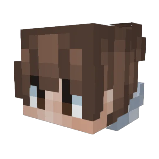Treebeard2014 Minecraft avatar head, 3D render