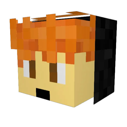 Treebone62 Minecraft avatar head, 3D render