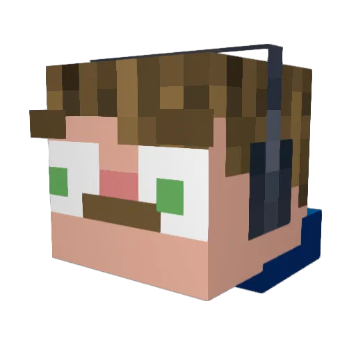 Treeboy Minecraft avatar head, 3D render