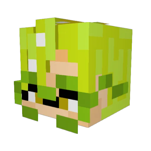Treeckoman182 Minecraft avatar head, 3D render