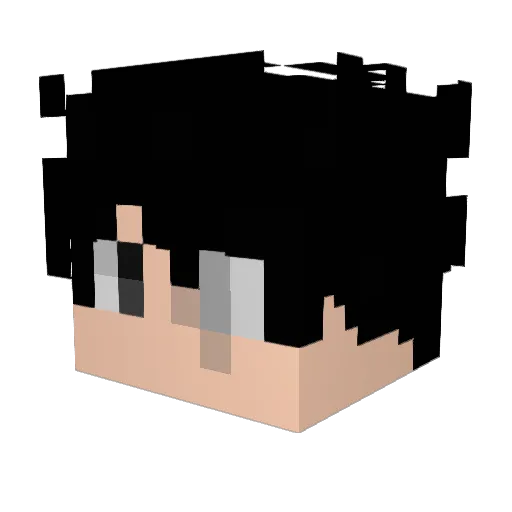 Treed_ Minecraft avatar head, 3D render