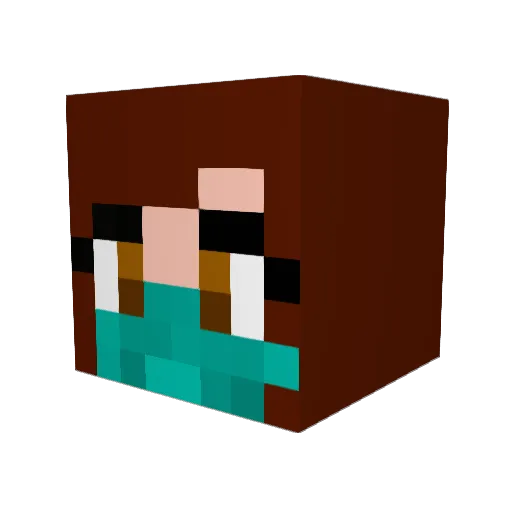 Treedias_ Minecraft avatar head, 3D render