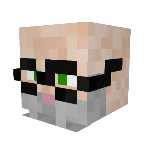 Treefrog27 Minecraft avatar head, 3D render