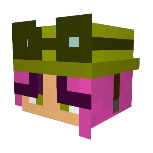 Treelover_69 Minecraft avatar head, 3D render