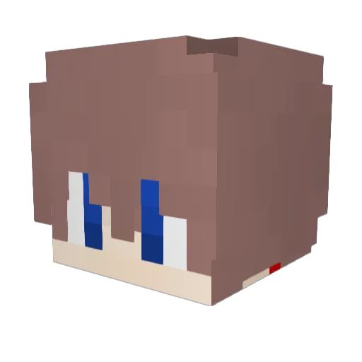Treeman55 Minecraft avatar head, 3D render