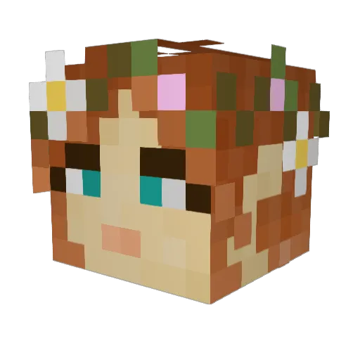 Treenut7 Minecraft avatar head, 3D render