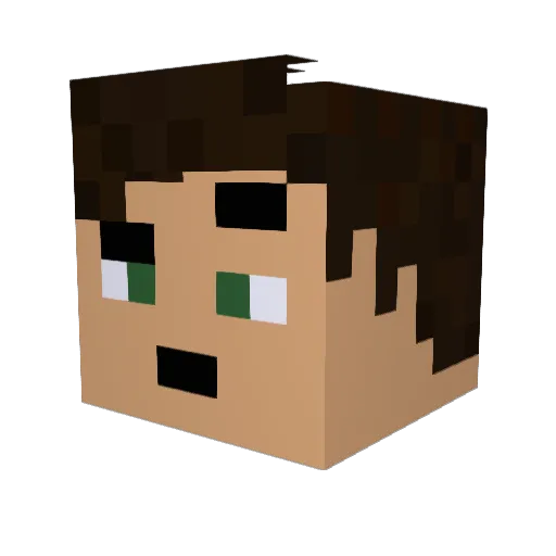 Treestump07 Minecraft avatar head, 3D render