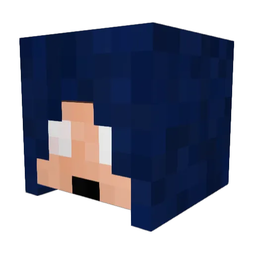 Treinock Minecraft avatar head, 3D render