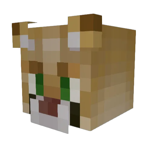 Trekkie27 Minecraft avatar head, 3D render