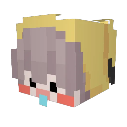 TremDaColombia Minecraft avatar head, 3D render