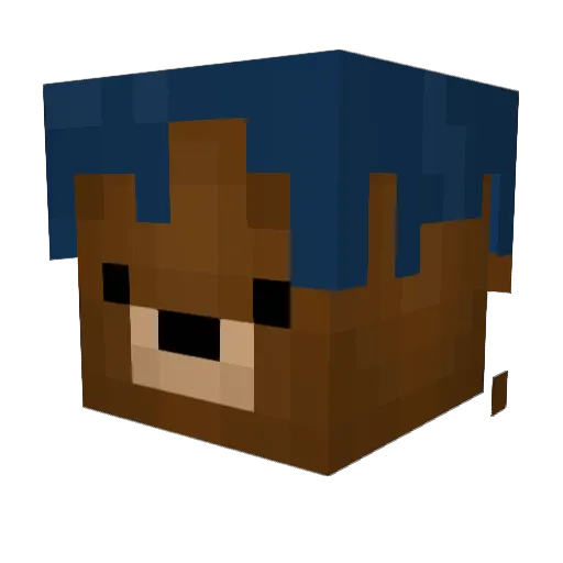 Tremical Minecraft avatar head, 3D render