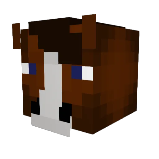 Trenchscout Minecraft avatar head, 3D render