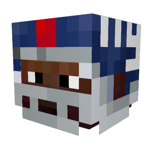 TrendNation Minecraft avatar head, 3D render