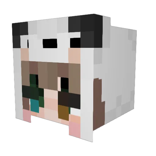 Trenster Minecraft avatar head, 3D render