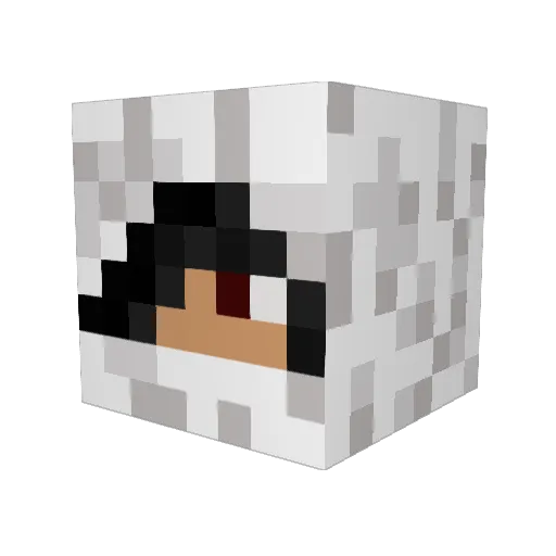Trent978 Minecraft avatar head, 3D render