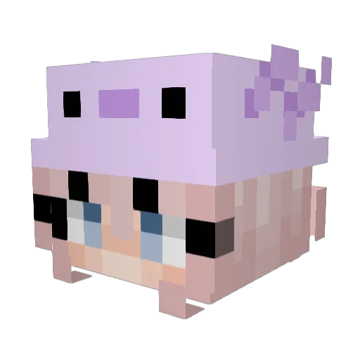 Trentawesome Minecraft avatar head, 3D render