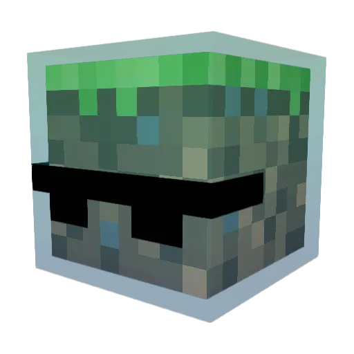 Trentity Minecraft avatar head, 3D render
