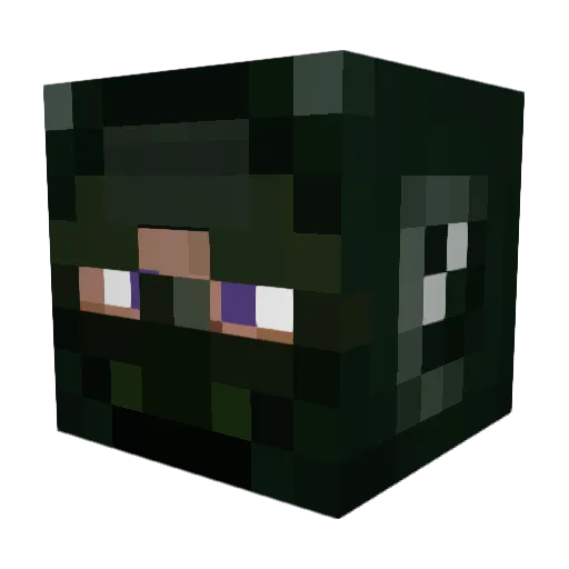 Trentman458 Minecraft avatar head, 3D render