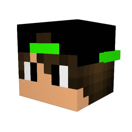 Trenton3114 Minecraft avatar head, 3D render
