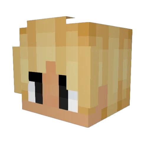TrentonFury_ Minecraft avatar head, 3D render