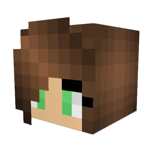 Trentonal Minecraft avatar head, 3D render