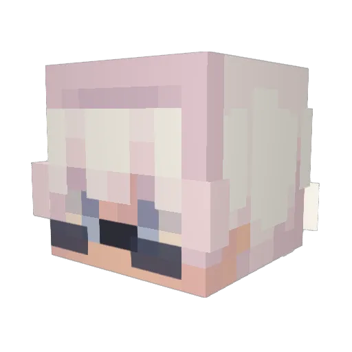Trentonwalker08 Minecraft avatar head, 3D render