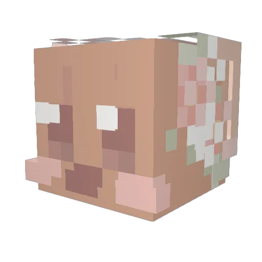 Treon_ Minecraft avatar head, 3D render