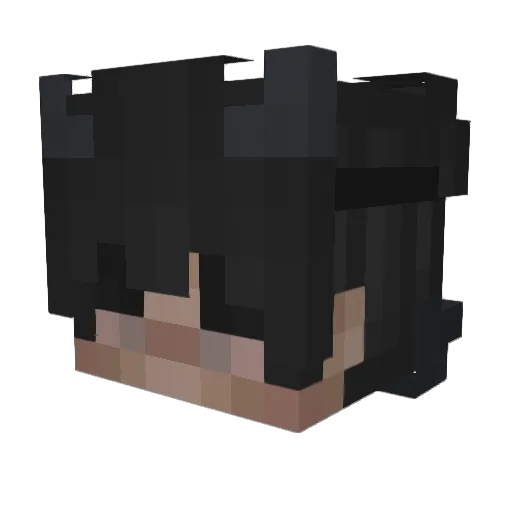 Treqless Minecraft avatar head, 3D render