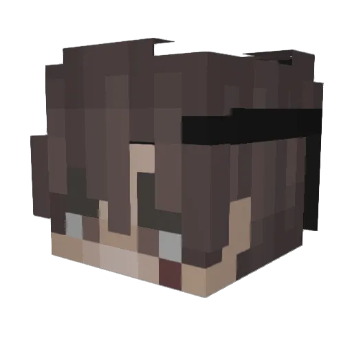 Treqo Minecraft avatar head, 3D render