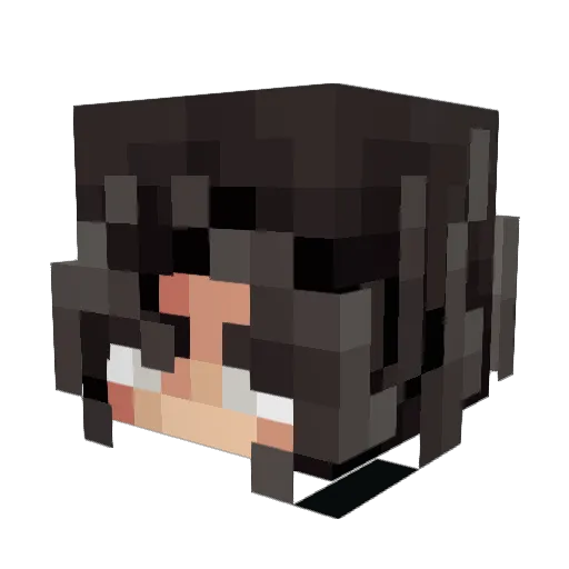 TresLetras Minecraft avatar head, 3D render