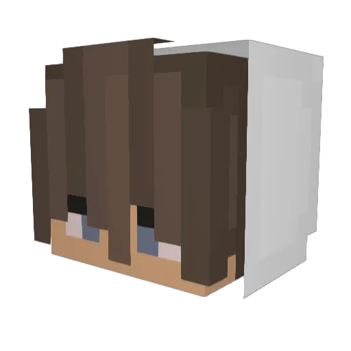 Tresh_Brah Minecraft avatar head, 3D render
