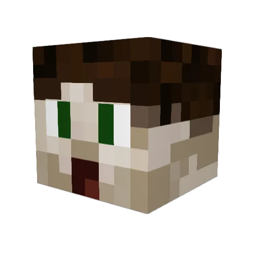TrevTeach Minecraft avatar head, 3D render