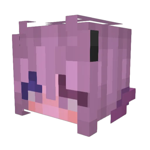 Trevor425 Minecraft avatar head, 3D render