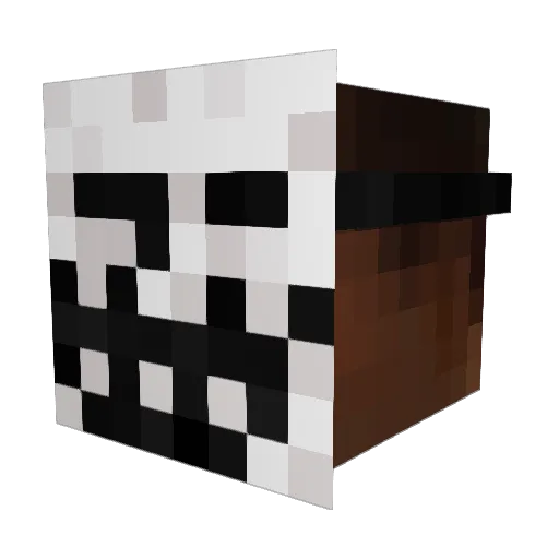 Trevor443 Minecraft avatar head, 3D render