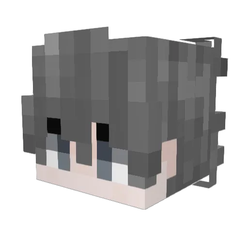 Trevor767 Minecraft avatar head, 3D render