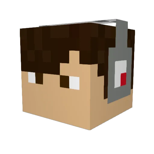 TrevorCurtis18 Minecraft avatar head, 3D render
