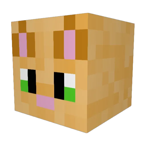 Trevor_scottV Minecraft avatar head, 3D render
