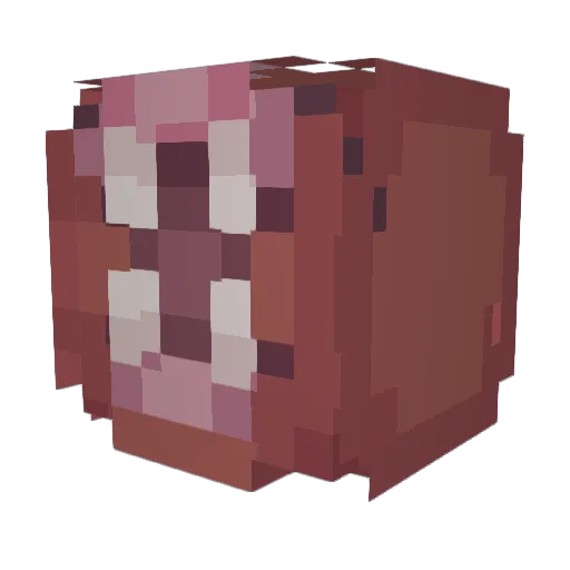 Trevorvorvor Minecraft avatar head, 3D render