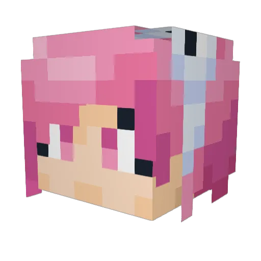 Trexe22 Minecraft avatar head, 3D render