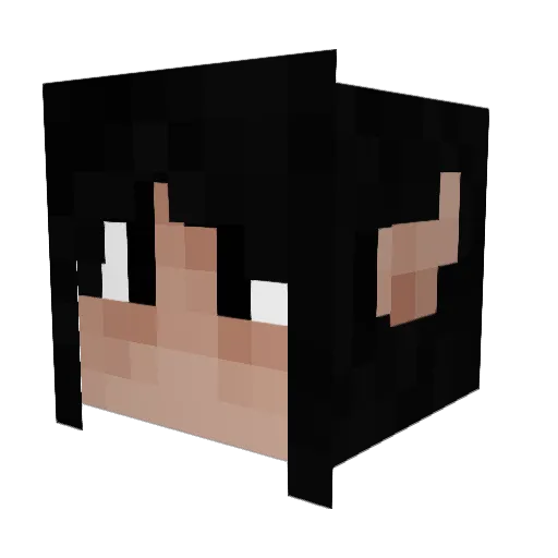 Trexgod2k7 Minecraft avatar head, 3D render