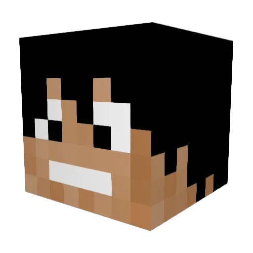 Treyb1404 Minecraft avatar head, 3D render