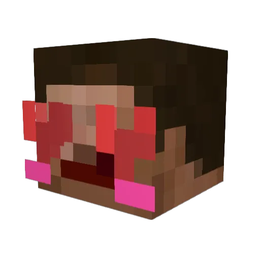 Trggerbotmin Minecraft avatar head, 3D render