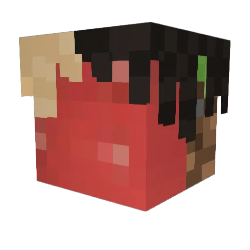 TriKoTrau Minecraft avatar head, 3D render