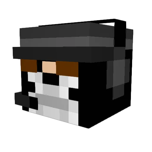 TriNNityX Minecraft avatar head, 3D render