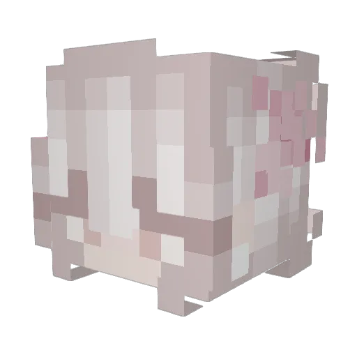 TriTriGirl Minecraft avatar head, 3D render