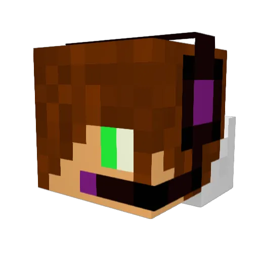 TriXXX228 Minecraft avatar head, 3D render