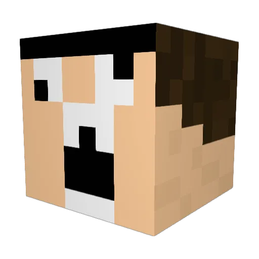 Tri__ Minecraft avatar head, 3D render