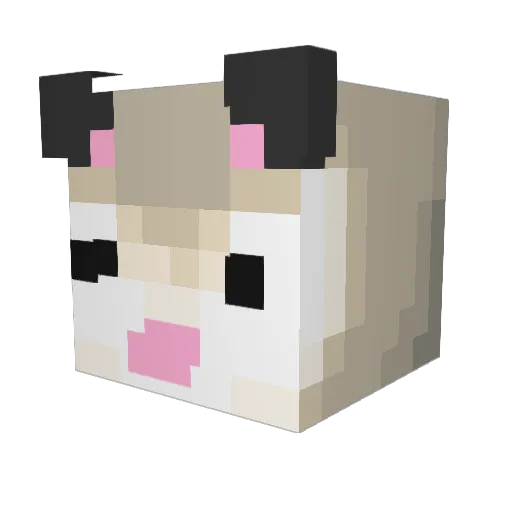 Triaasdf Minecraft avatar head, 3D render