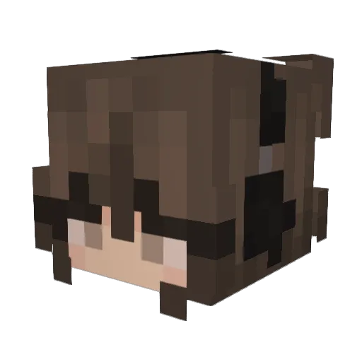 TrialPenguin855 Minecraft avatar head, 3D render