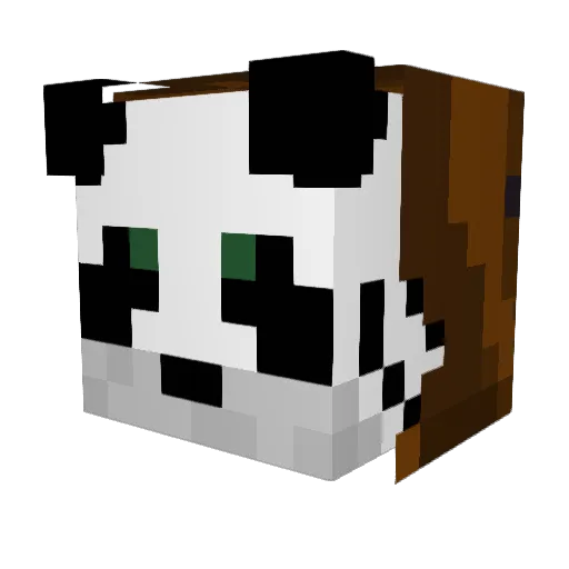 Trican Minecraft avatar head, 3D render